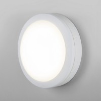 Пылевлагозащищенный светодиодный светильник 4200К Elektrostandard LTB51 белый