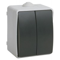 Выключатель 2-клавишный IEK Форс 10А IP54 серый EVS20-K03-10-54-DC