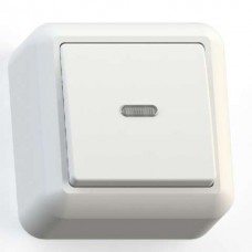 Выключатель 1-клавишный Кунцево-Электро Оптима 10А с индикацией белый А110-386 8001