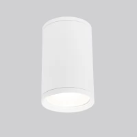Уличный потолочный светильник Light 2101 IP65 35128/H белый