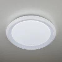 Накладной светодиодный светильник 40013/1 LED