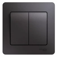 Выключатель 2-кл. СП Glossa 10А IP20 (сх. 5) 10AX в сборе графит SchE GSL001352