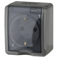 Розетка 1-м ОП Эра Эксперт 11-2401-03 16А IP54 16AX 250В 2P+E серый Эра Б0020713