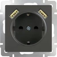 Розетка с заземлением, шторками и USBх2 (серо-коричневый WL07-SKGS-USBx2-IP20