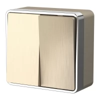 Выключатель двухклавишный Werkel Gallant шампань рифленый W5020010